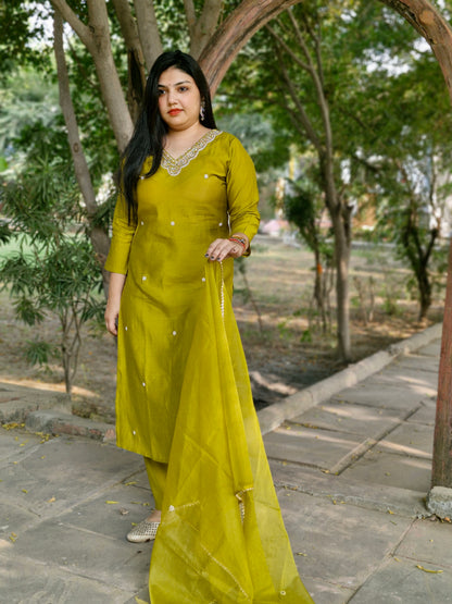 Elegant Olive Green Embroidered Suit Set
